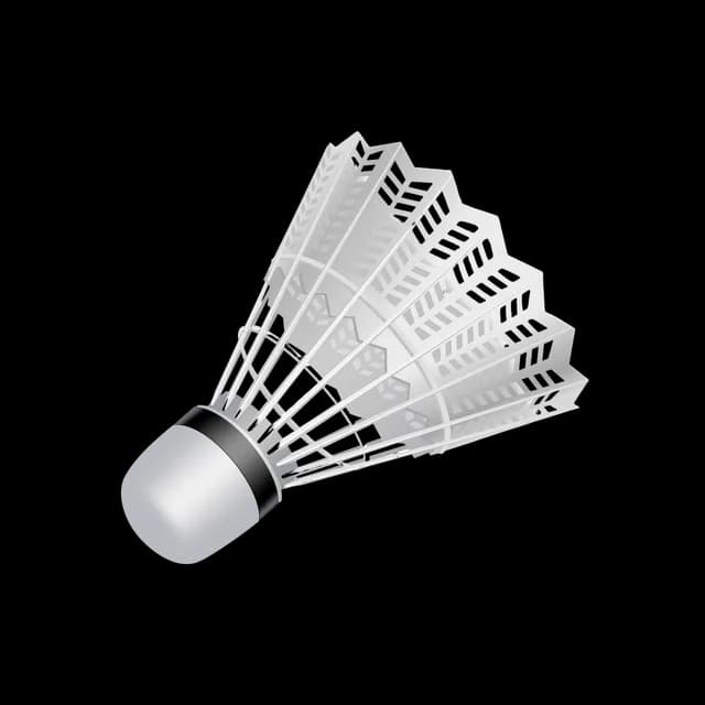 Badminton shuttlecock