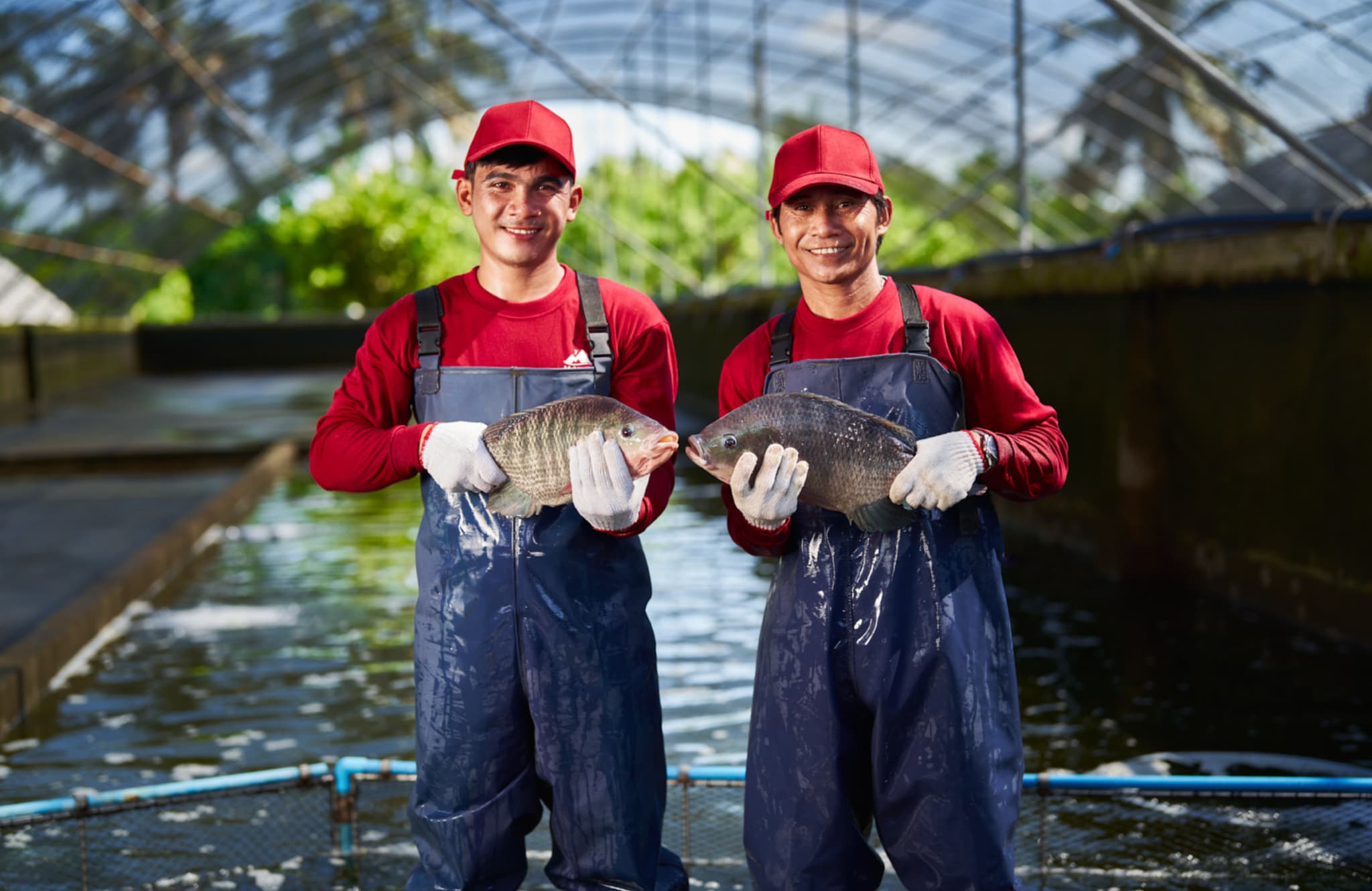 Corporate Background