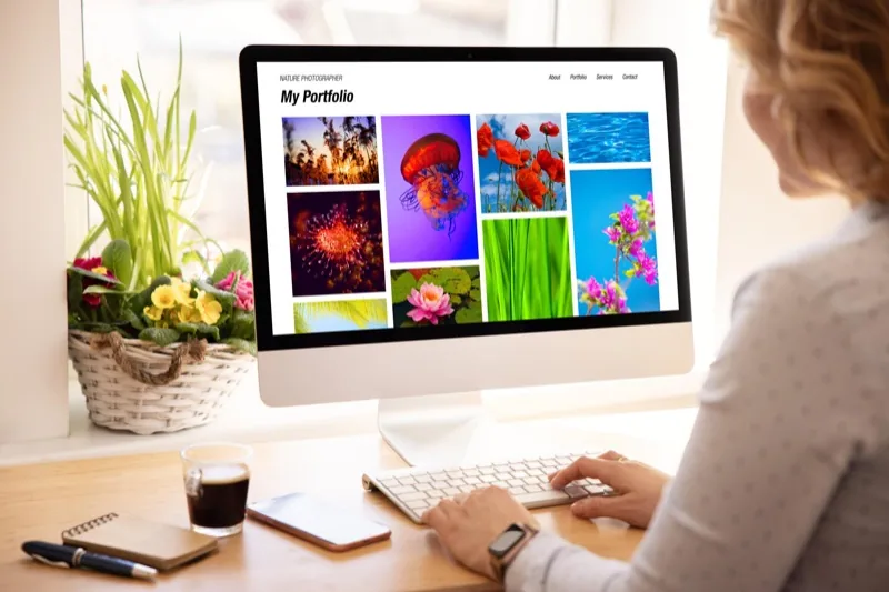 Portfolio และ Agency Website