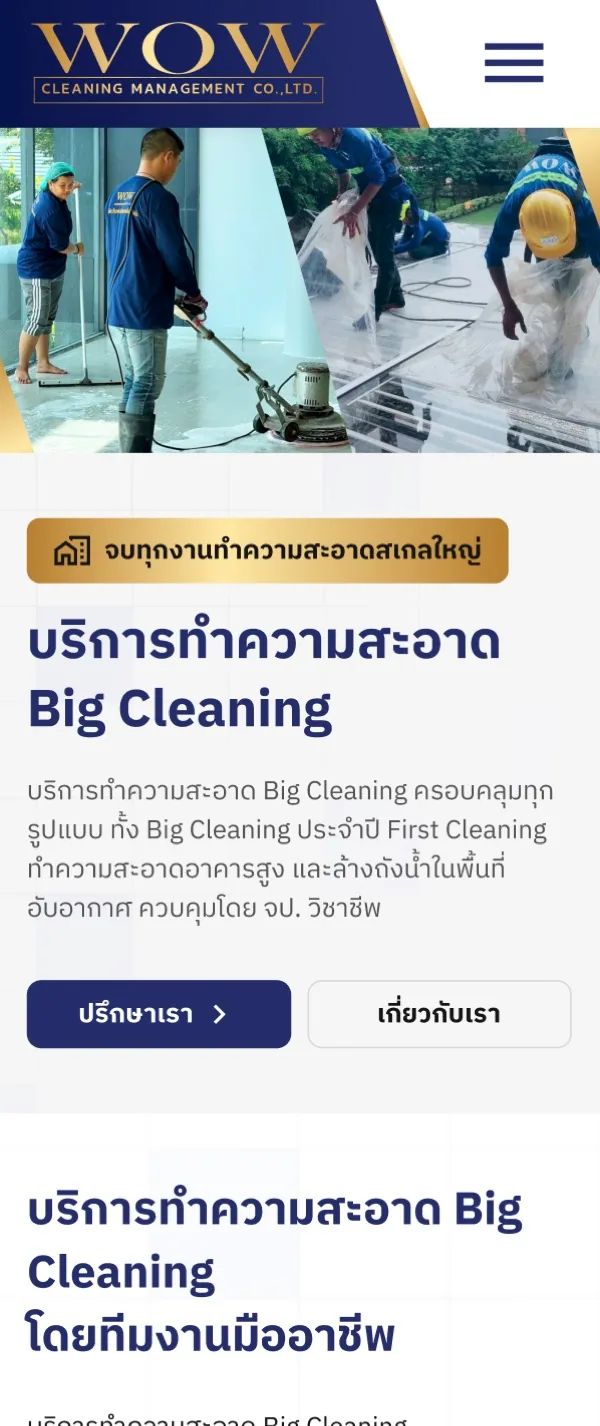 WOW Cleaning headless CMS website screenshot 2